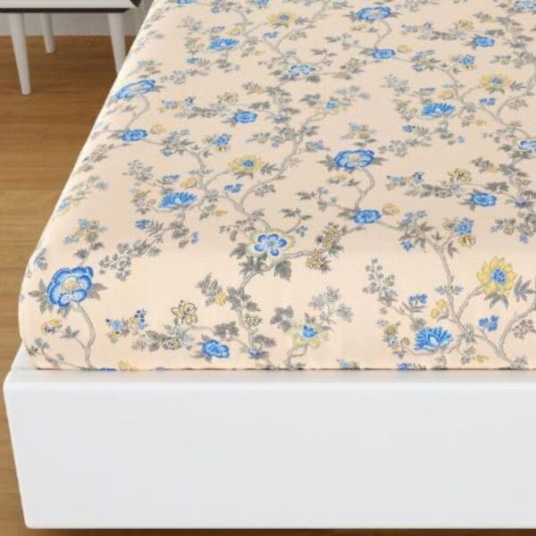 Untitled design - 2025-01-25T111852.272 Daisy Sunlit Daisies