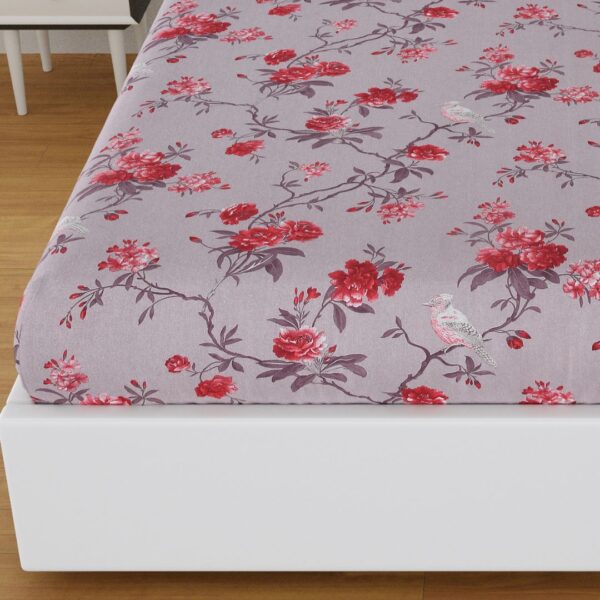 Untitled design - 2025-01-25T112124.492 Daisy Dreams