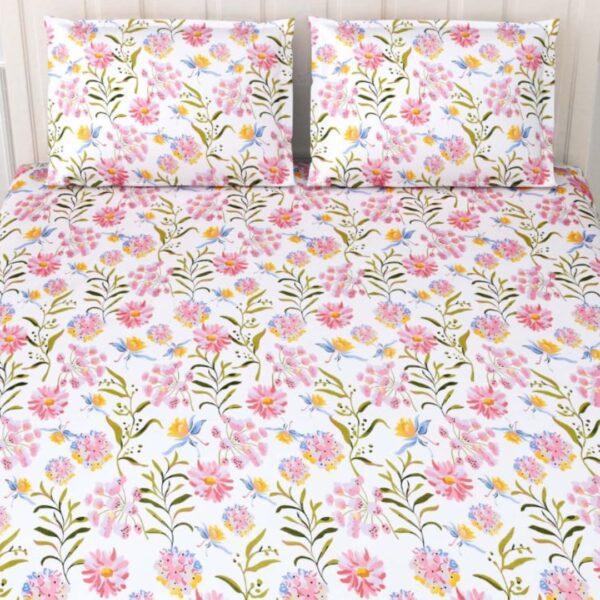 sae (64) Fitso Comfifit